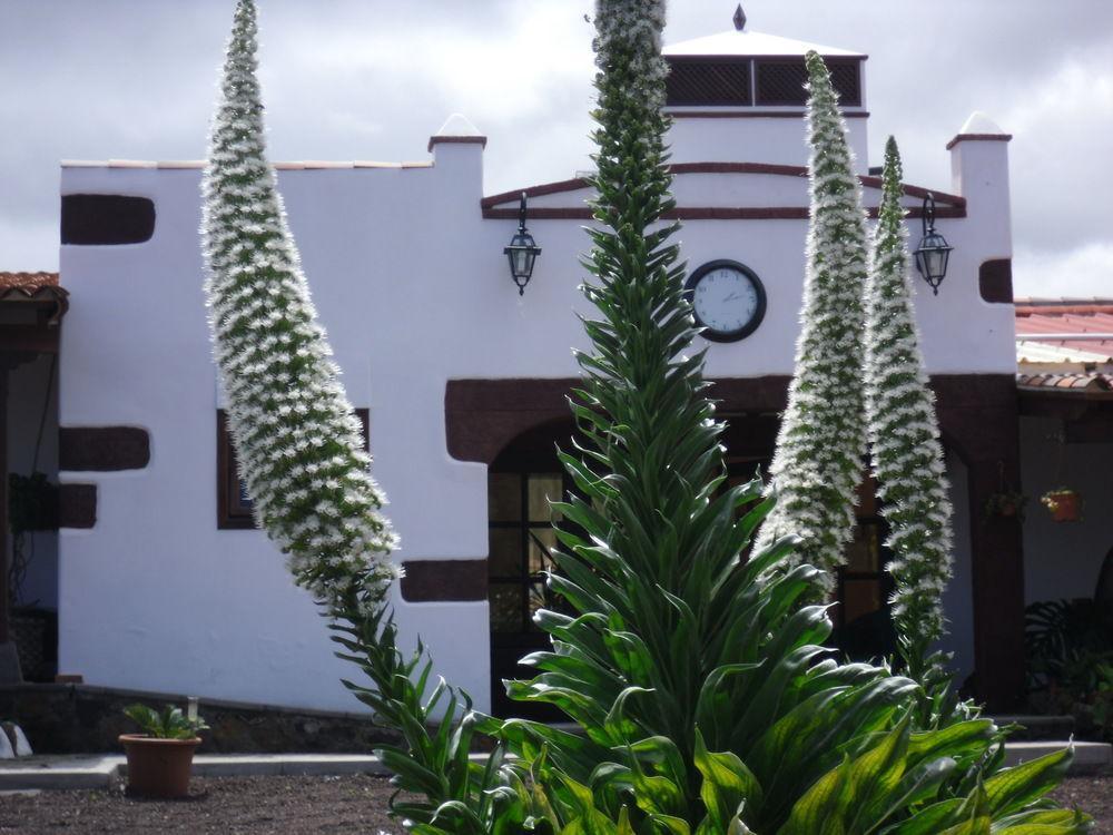 Готель Finca El Picacho Valle de Guerra Екстер'єр фото